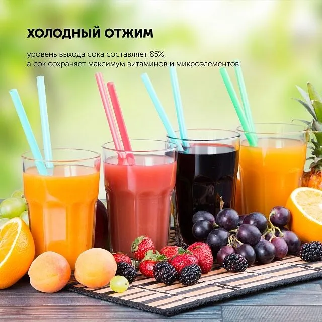 Шнековая соковыжмалка Polaris Pl-0601 6 Шнековая соковыжмалка Polaris Pl-0601 6
