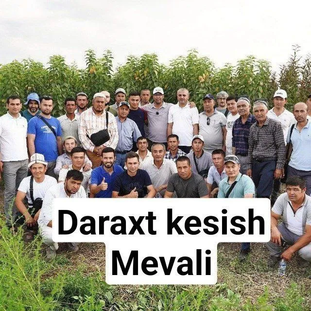 Bogbon daraxt kesish dorilash xizmati — фото 3