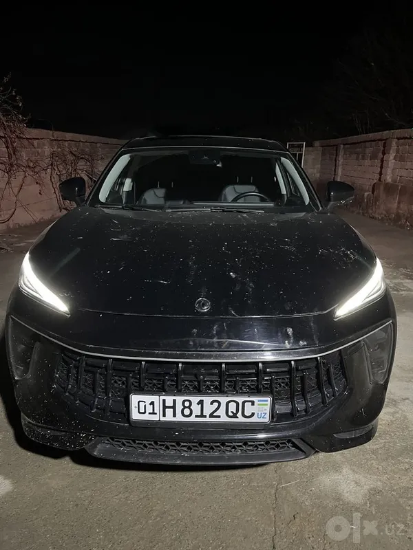Forthing T 5 Evo 1 Forthing T 5 Evo 1