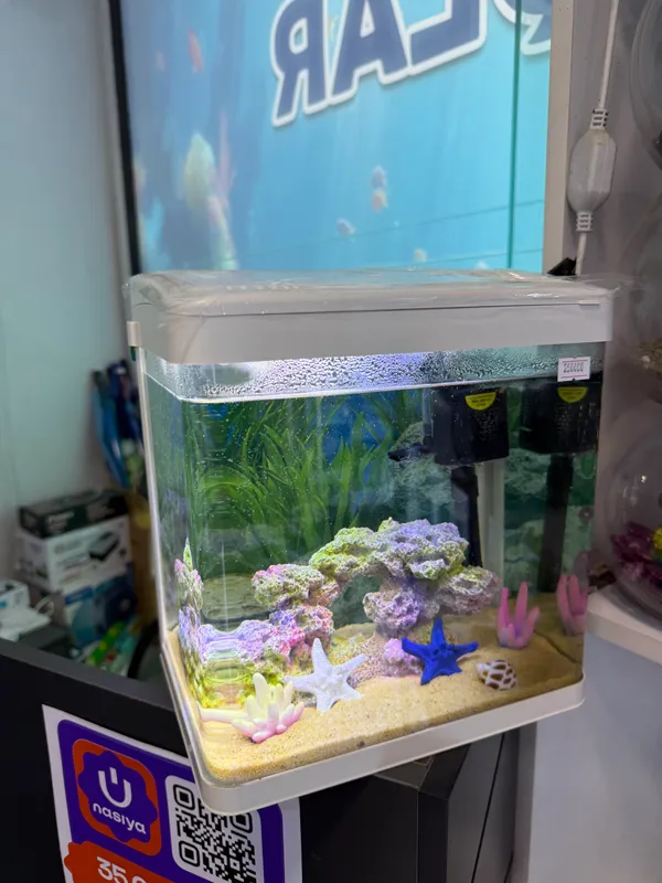 akvarium mini 2 akvarium mini 2