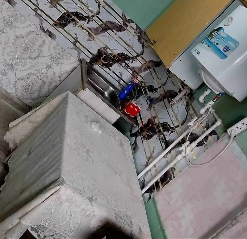 аренда квартира Яшнабод 1
