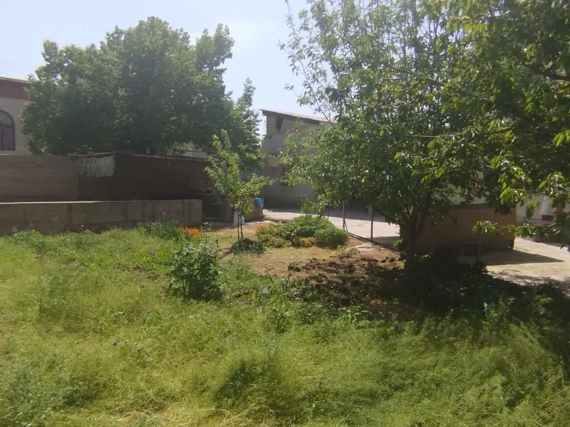 Uchastka sotiladi 3 Uchastka sotiladi 3