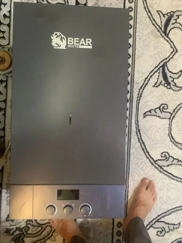 Katyos sotiladi bear