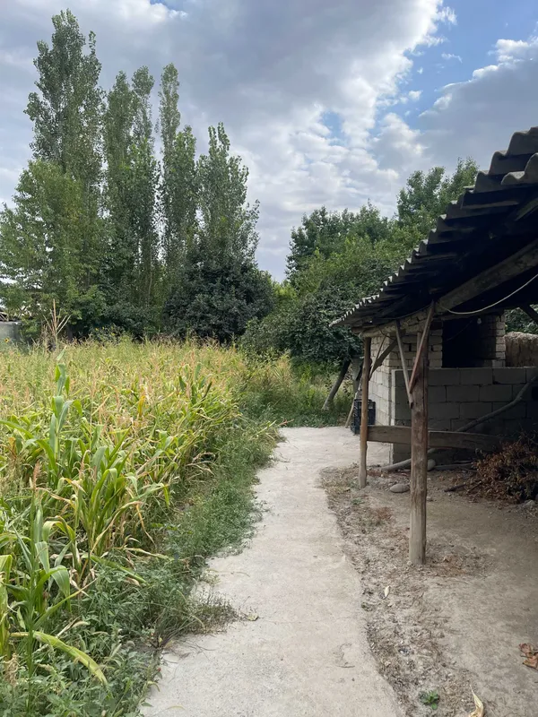 Fargona viloyati, Fargona tumani, Yangi ariq 8 a 8 sotix yer sotiladi 3 Fargona viloyati, Fargona tumani, Yangi ariq 8 a 8 sotix yer sotiladi 3