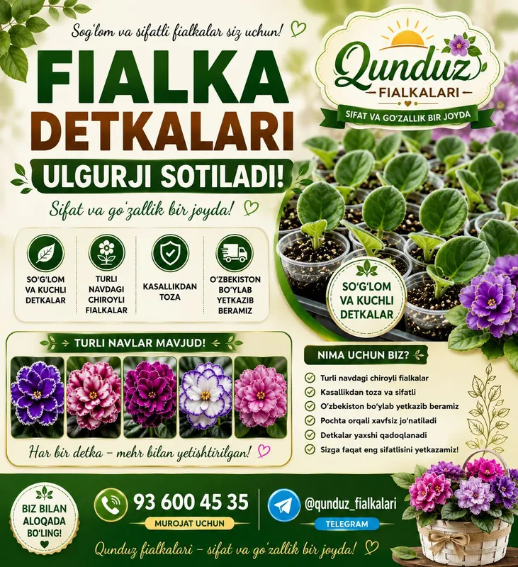 fialka detkasi sotuvda 1