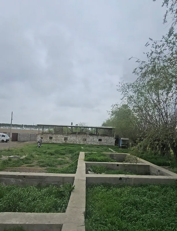 Продаётся двор в Ташкентской области, Букинском районе 7 Продаётся двор в Ташкентской области, Букинском районе 7