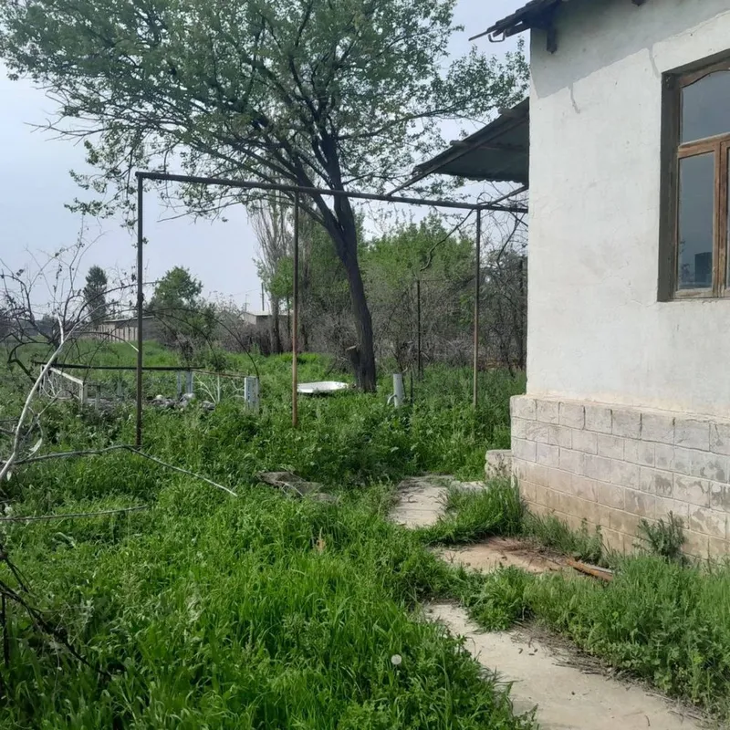 Участок пскет Uchastok piskent 3 Участок пскет Uchastok piskent 3