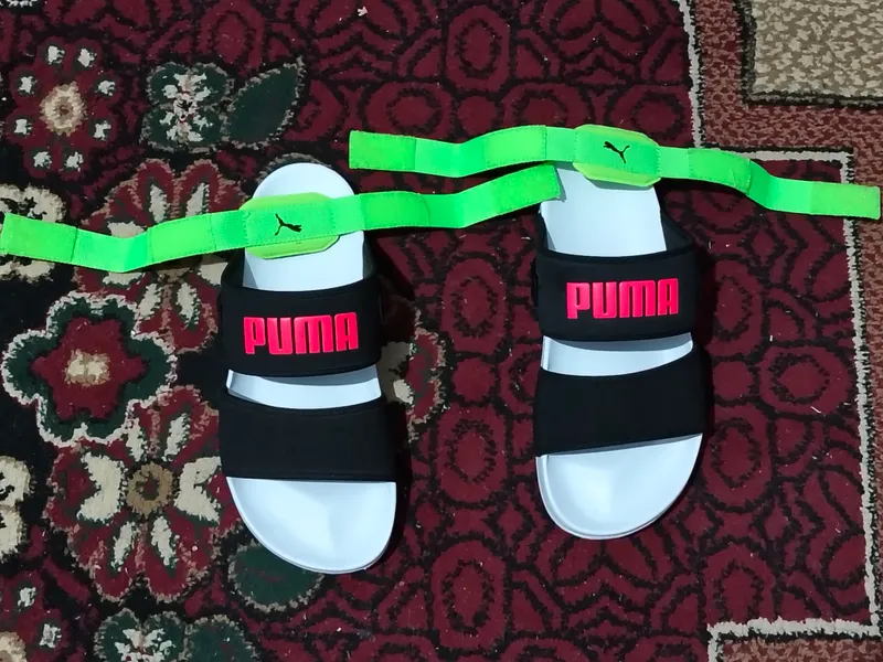 puma