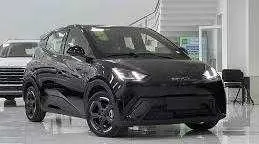 Byd Seagull buyurtma asosida Byd Seagull buyurtma asosida