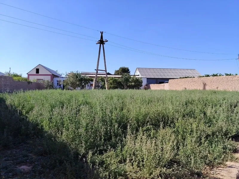 Toza beda sifatli yangi