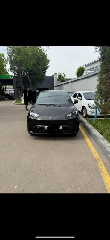 Byd sygl 2024 kraska toza 1