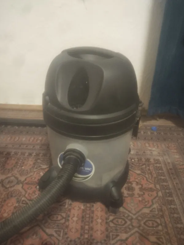 pelisoz
