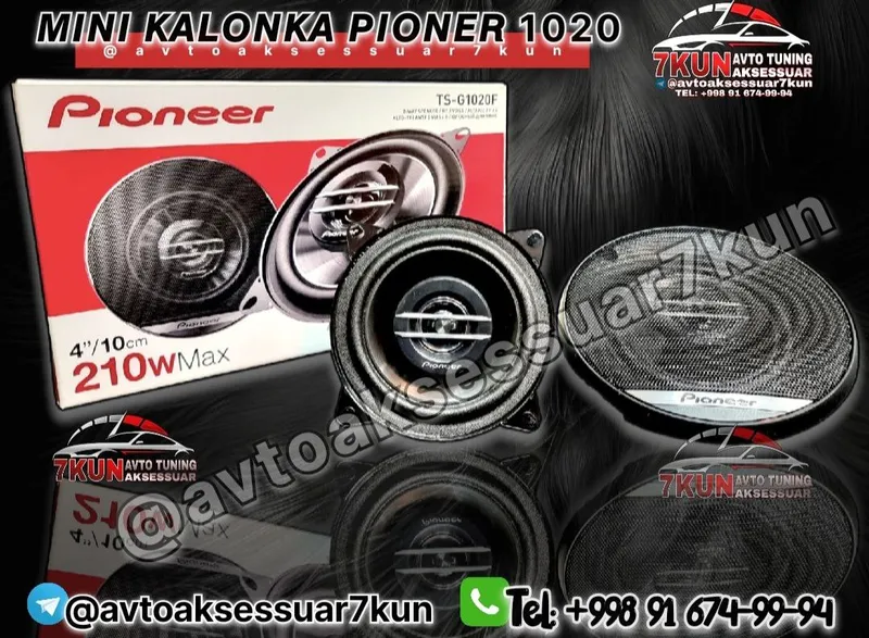 PIONEER TS-G1020