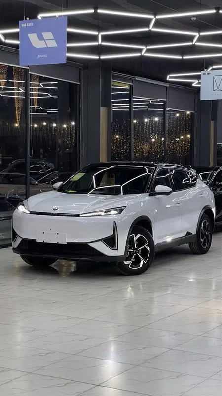 Личный водитель со своим авто