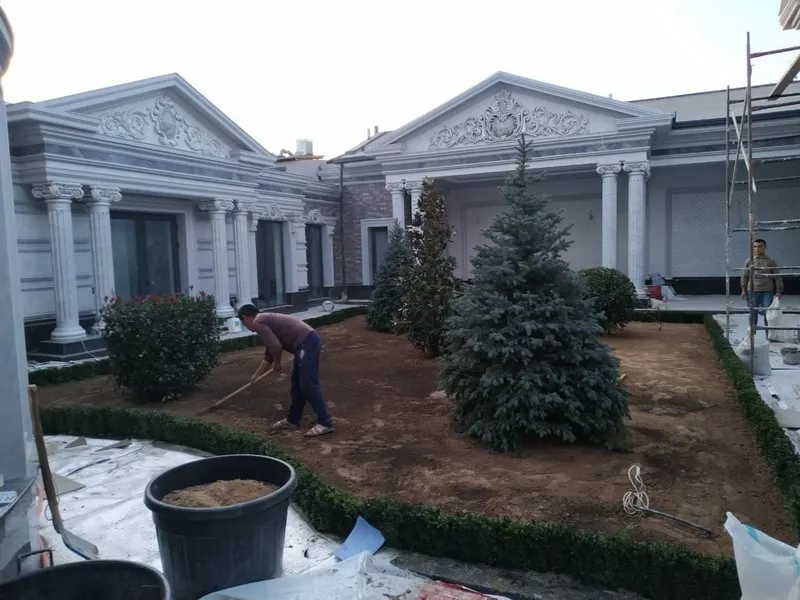 Газон экиш хизмати — фото 3