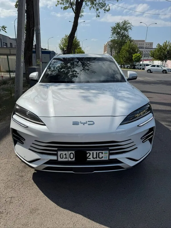 Byd chempion gibrid, 150 talik sotiladi 1
