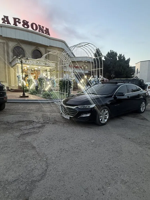 Kortej Buxara Tahoe Tayota Mers Malibu 2 xizmati — фото 7
