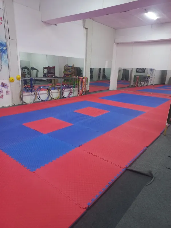 Tatami dayan sotiladi holati yaxshi 2 Tatami dayan sotiladi holati yaxshi 2