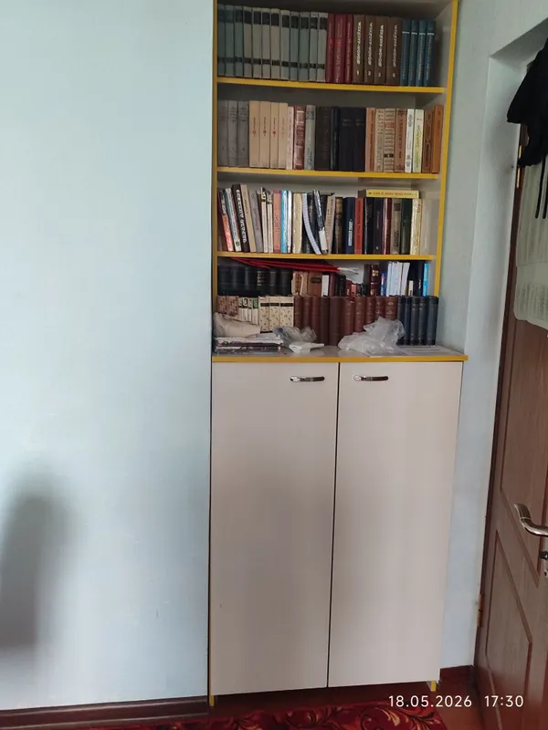 Шкаф для книг и одежды