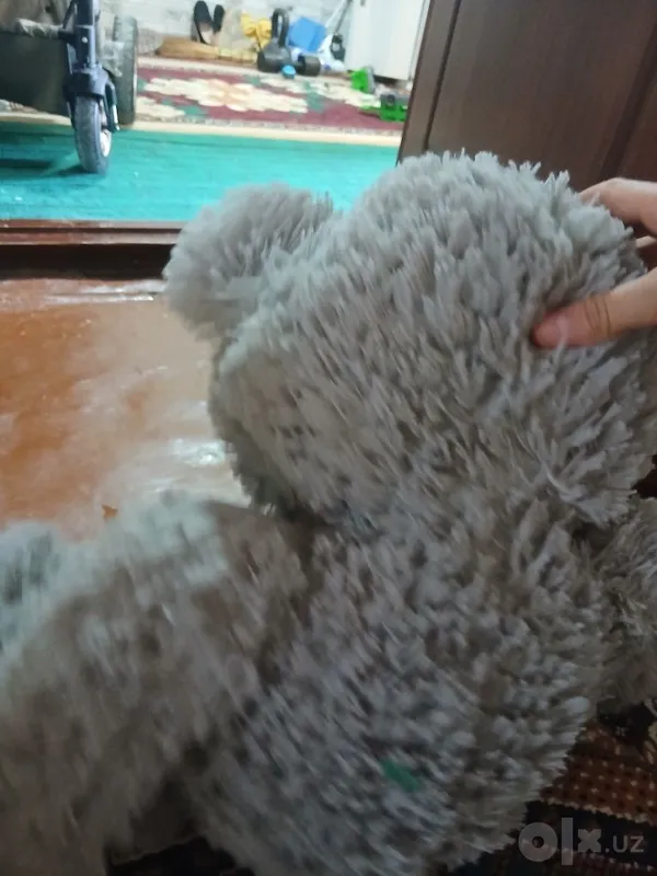 Teddy ayiqcha sotaman 3 Teddy ayiqcha sotaman 3