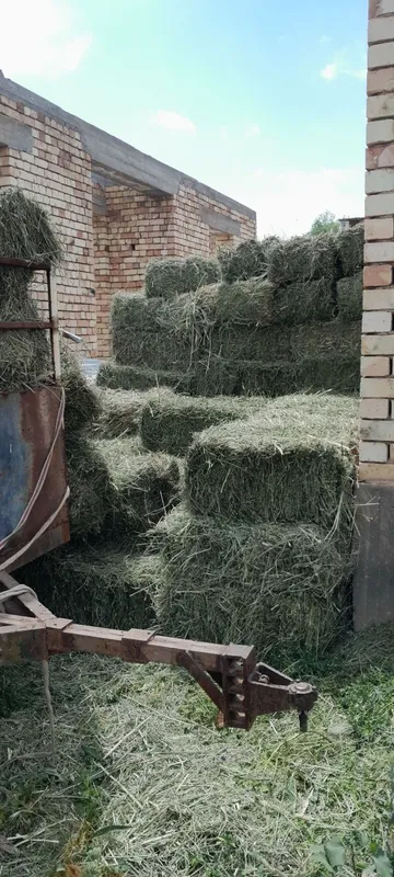 Беда пресс 1 орим — фото 1