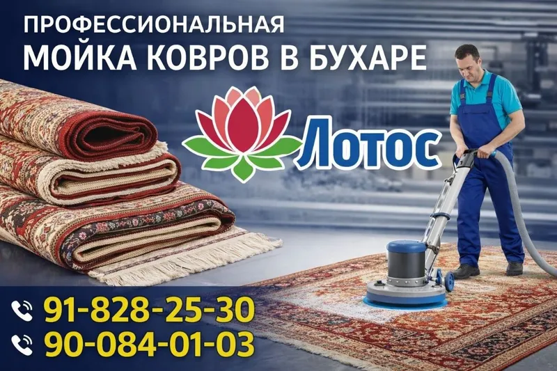 Gilam yuvish xizmati 5 Gilam yuvish xizmati 5