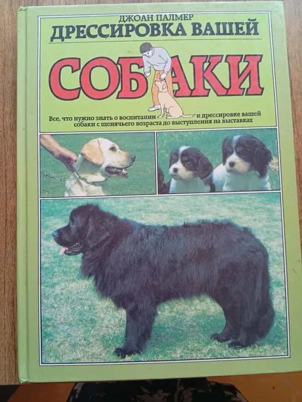 Дрессировка вашей собаки не