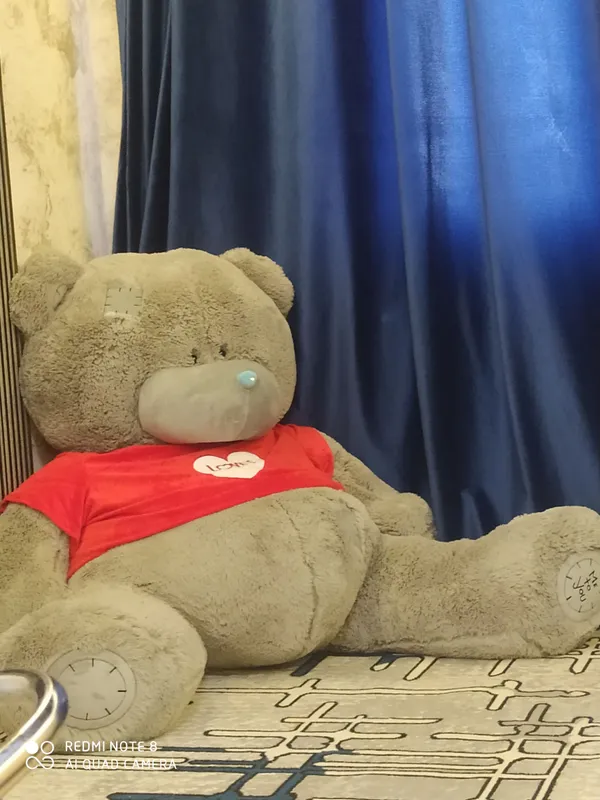 teddy teddy