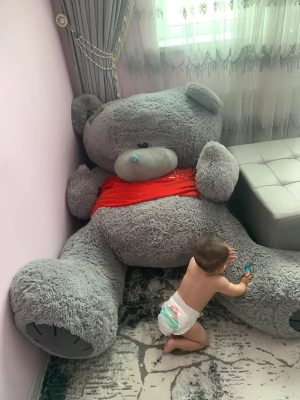 Teddy bear ayiqcha