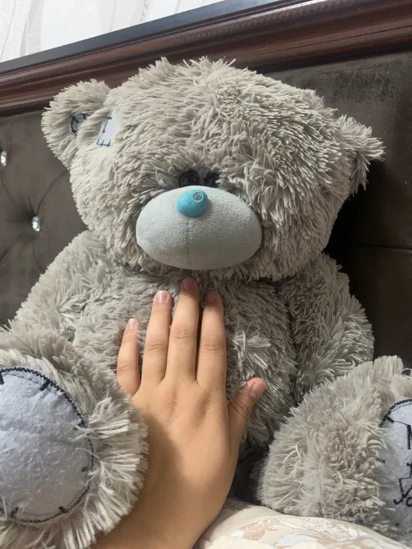 Teddiy ayiqcha 2