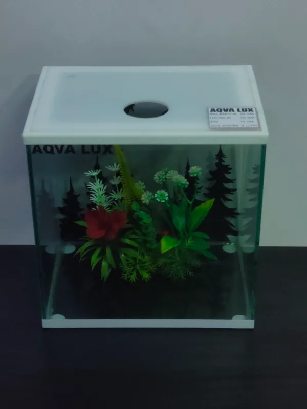 Akvarium — фото 3