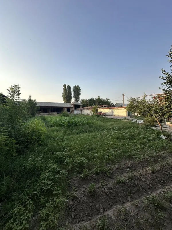 6.650$ Тойтепа , Qorasuv — фото 5