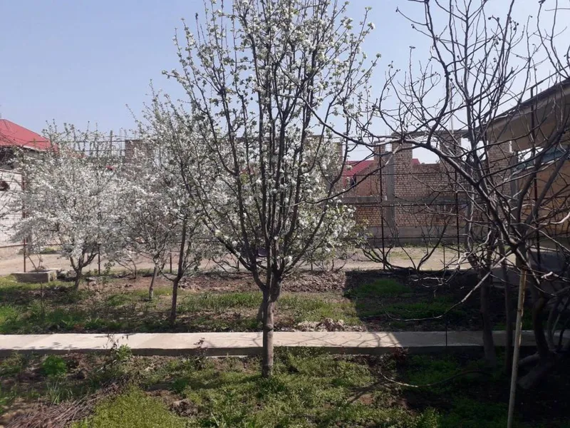 Uy sotiladi, 55 000 $ , 6 sotix, svet,suv,kanalizatsya,hammasi bor. — фото 2