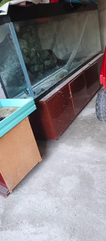 Фергана Кува Фергана Кува