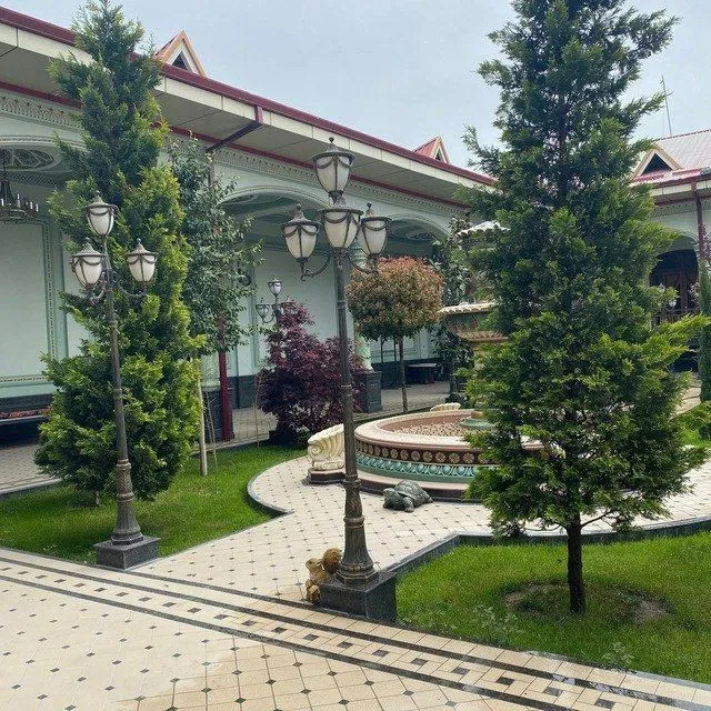 Тайрё Газон ёткизиш — фото 6