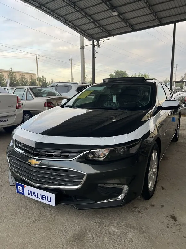Malibu 2:4 atmasferni