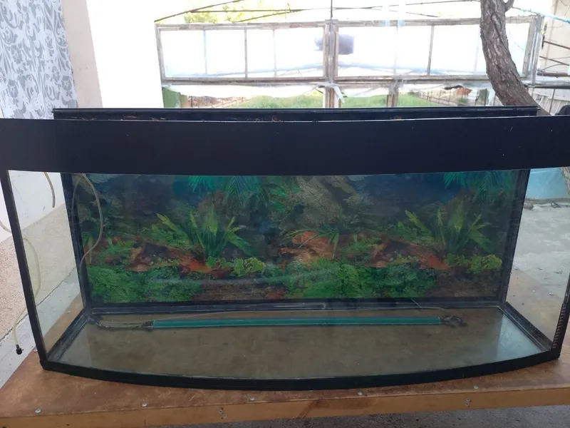 Akvarium sotiladi yaxshi ishliydi 4