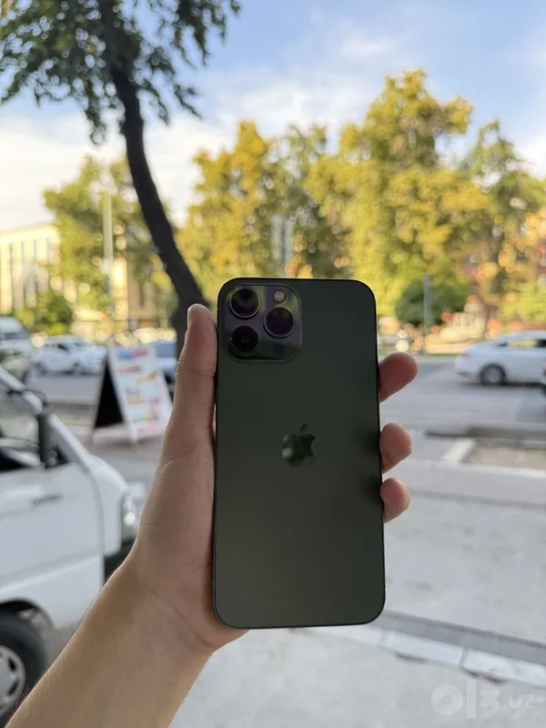 iPhone 13 Pro Max, зелёный 1 iPhone 13 Pro Max, зелёный 1
