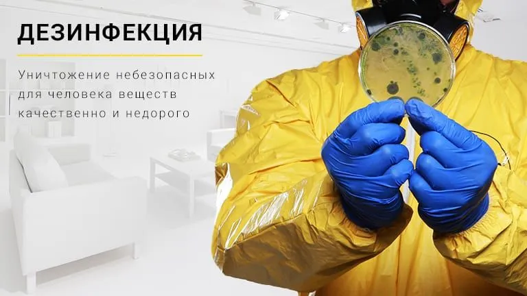 Dezinfeksiya. Дезинфекция хизмат. Xashorotlarni yoq qilish xizmati — фото 1