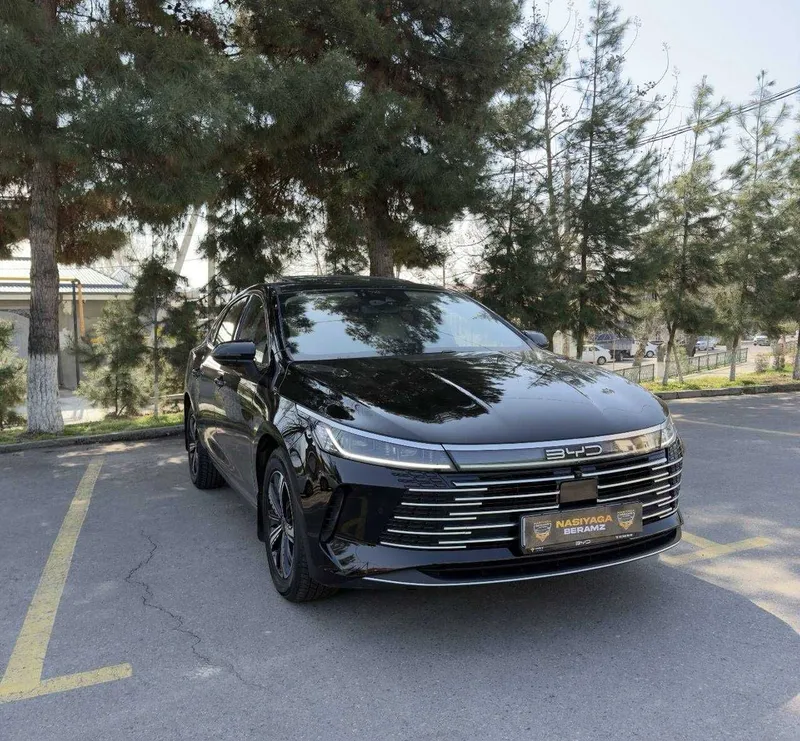 byd chazor gibrit