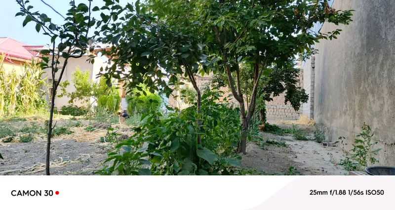 Продаётся дом в Самарканде за чайником, за пиалой (с обратной стороны) 1