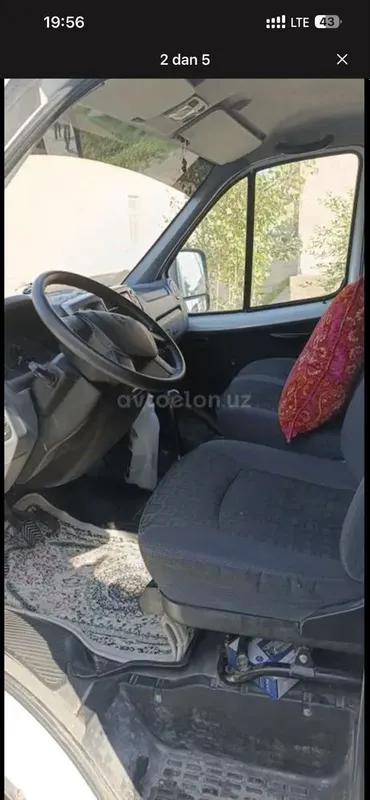 Gazel yili 2019 holati ideal 1