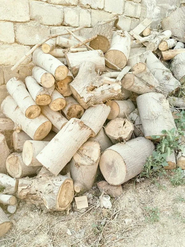 дрова daraxt o'tinlari quruq gilos asosan. 1 дрова daraxt o'tinlari quruq gilos asosan. 1