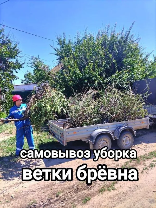Спил деревьев здравствуйте мы предлагаем удобный сервис суборкой
