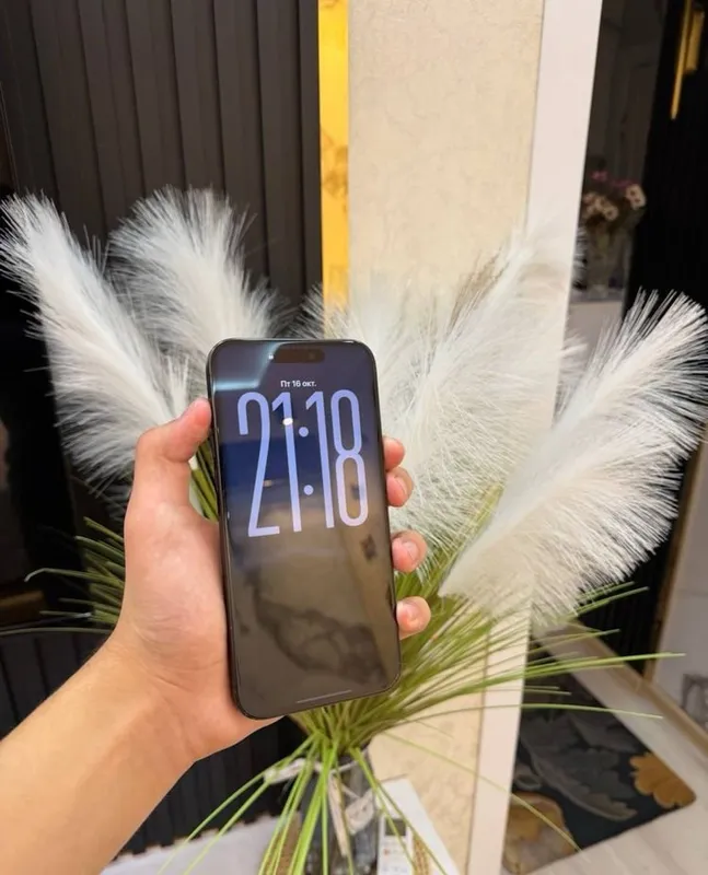 iPhone 15 pro max 256 gb 4 iPhone 15 pro max 256 gb 4