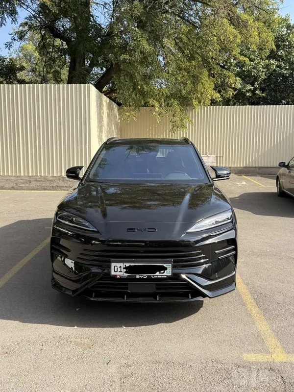 BYD Song Plus Champion 1 BYD Song Plus Champion 1