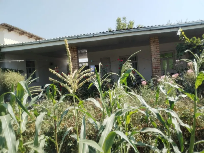 Uchastka sotiladi uyimizi xamma sharoitlari bor — фото 2