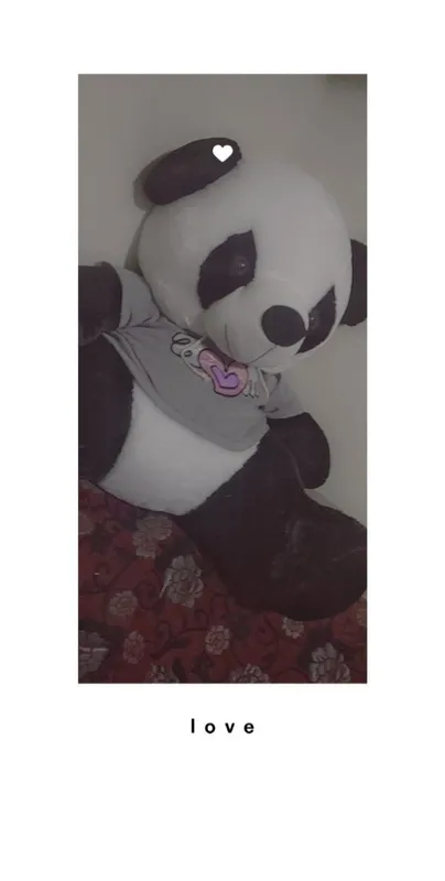 Panda yumshoq oʻyinchoq sotiladi