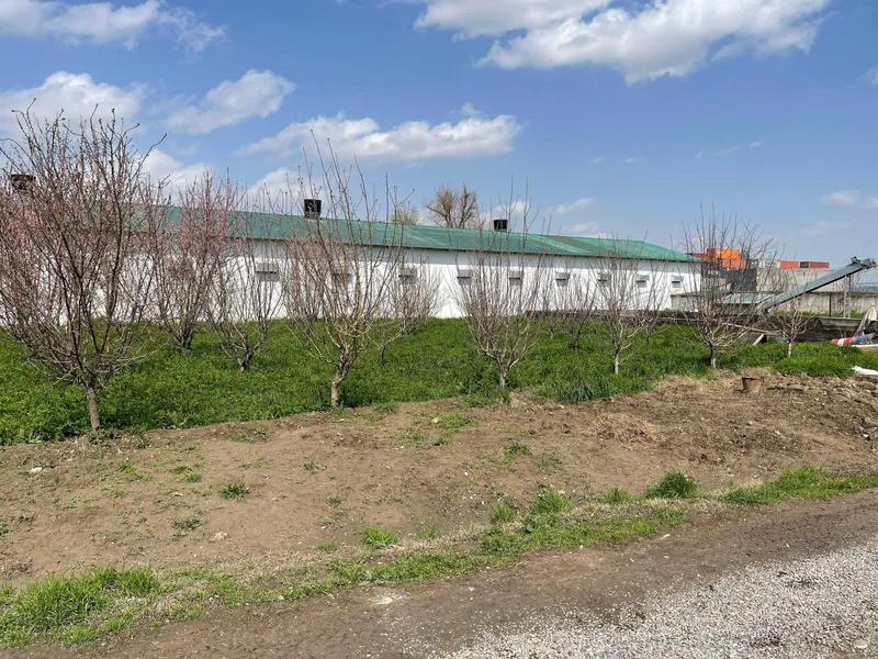 Срочно продается склад 60 сотки, Бектимирский район 4