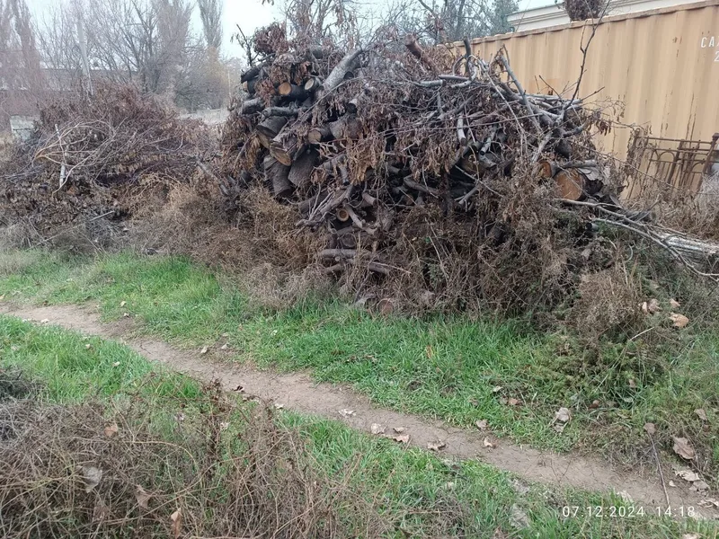 Oʻtin sotiladi. Продается дрова 1 Oʻtin sotiladi. Продается дрова 1